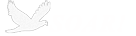 SOAR