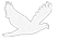 SOAR